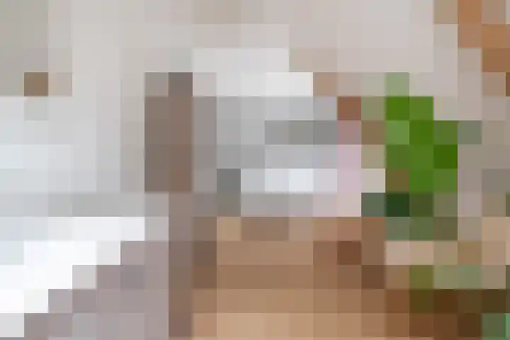 Tsjerkeleane 1 Ingelum thumbnail 35