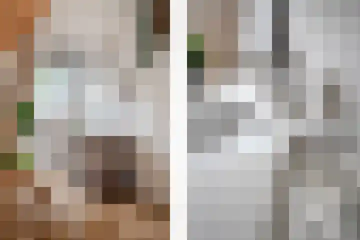 Tsjerkeleane 1 Ingelum thumbnail 37