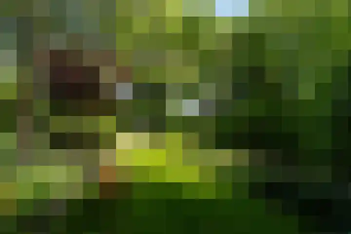 Tsjerkeleane 1 Ingelum thumbnail 43