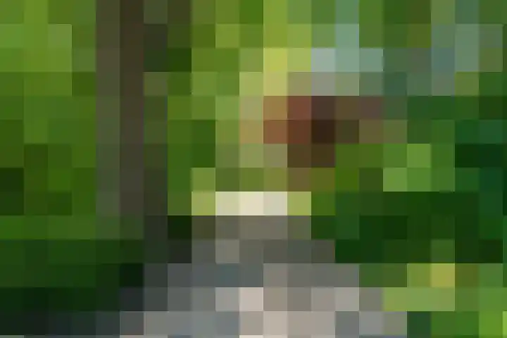 Tsjerkeleane 1 Ingelum thumbnail 44