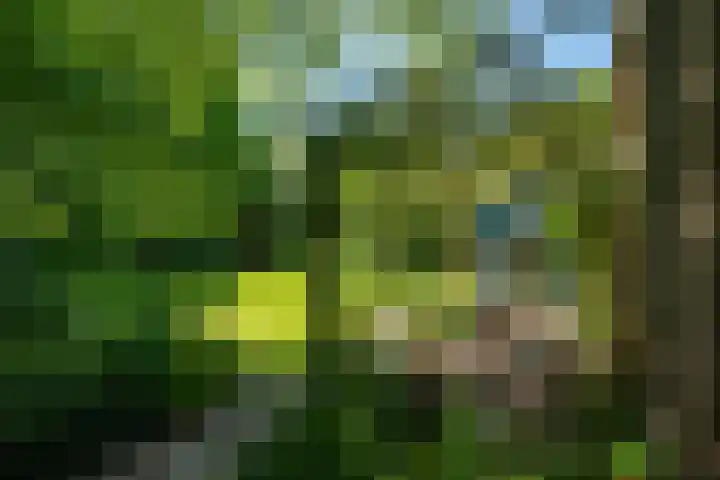 Tsjerkeleane 1 Ingelum thumbnail 45