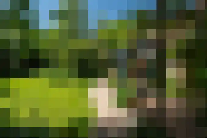 Tsjerkeleane 1 Ingelum thumbnail 46