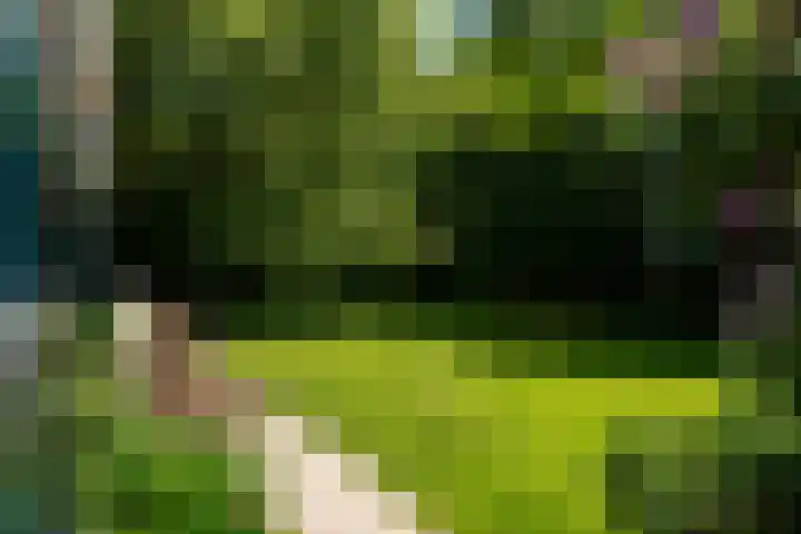 Tsjerkeleane 1 Ingelum thumbnail 47
