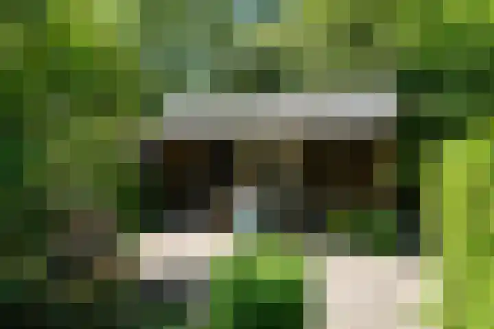 Tsjerkeleane 1 Ingelum thumbnail 48