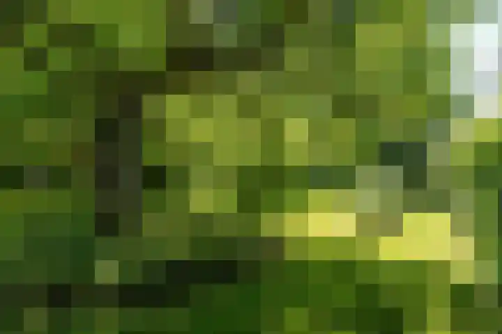 Tsjerkeleane 1 Ingelum thumbnail 50