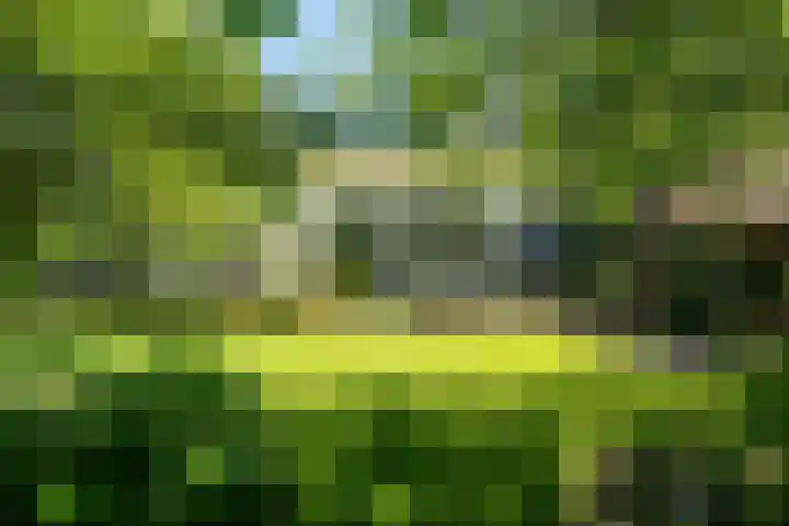 Tsjerkeleane 1 Ingelum thumbnail 51