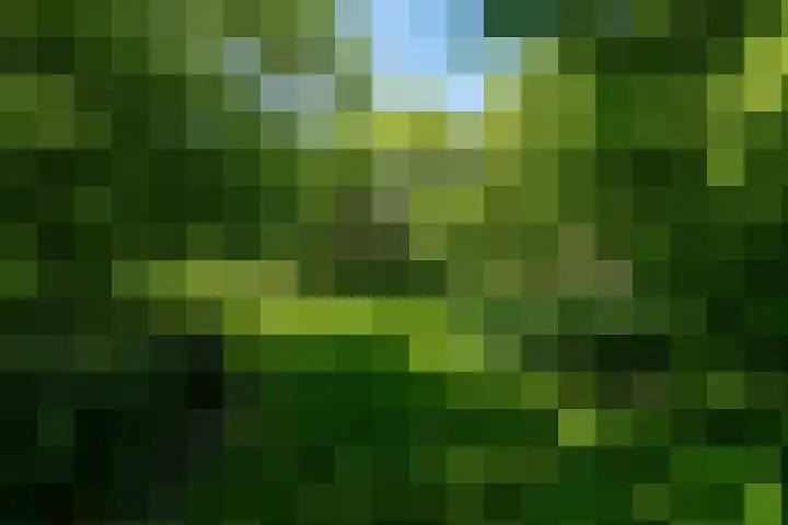 Tsjerkeleane 1 Ingelum thumbnail 52
