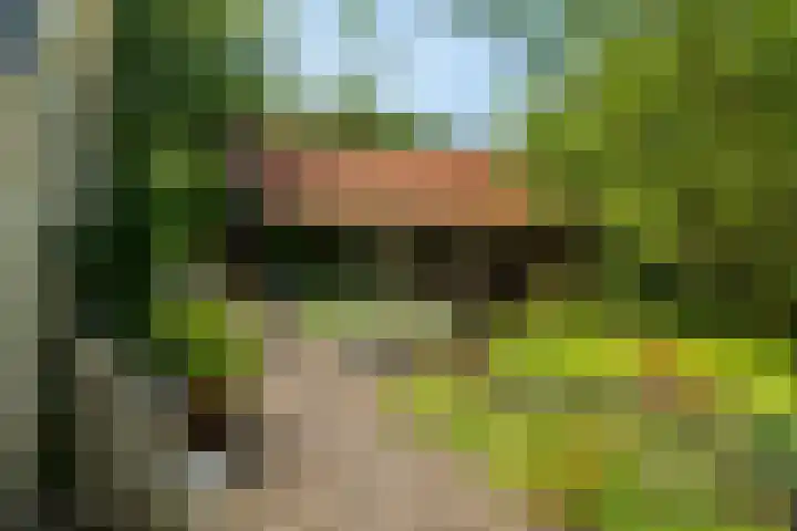 Tsjerkeleane 1 Ingelum thumbnail 53