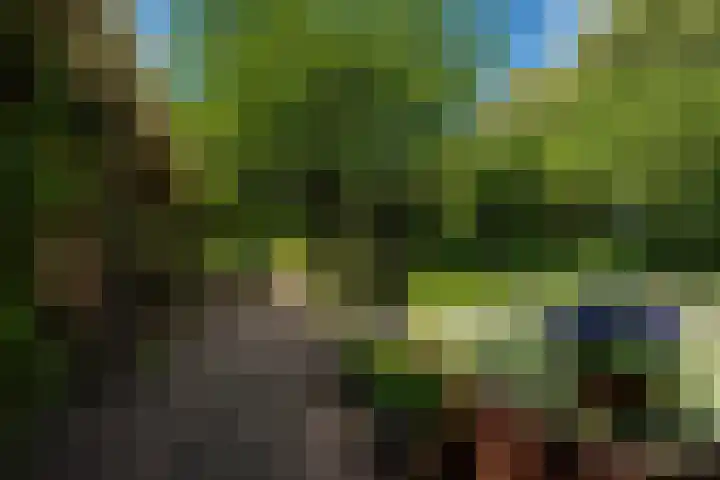 Tsjerkeleane 1 Ingelum thumbnail 54