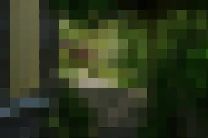 Tsjerkeleane 1 Ingelum thumbnail 55