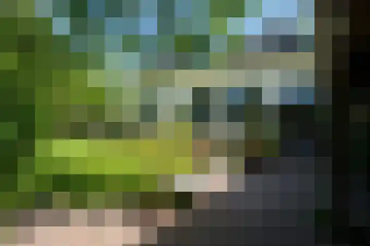 Tsjerkeleane 1 Ingelum thumbnail 56