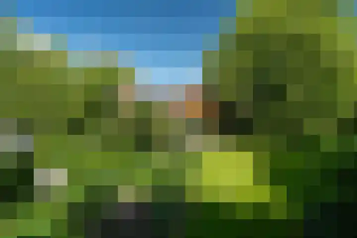 Tsjerkeleane 1 Ingelum thumbnail 57