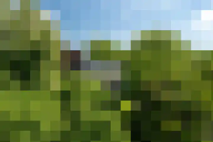 Tsjerkeleane 1 Ingelum thumbnail 58