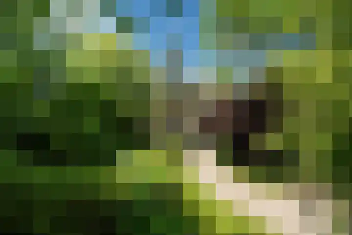 Tsjerkeleane 1 Ingelum thumbnail 59