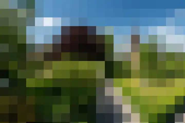 Tsjerkeleane 1 Ingelum thumbnail 60