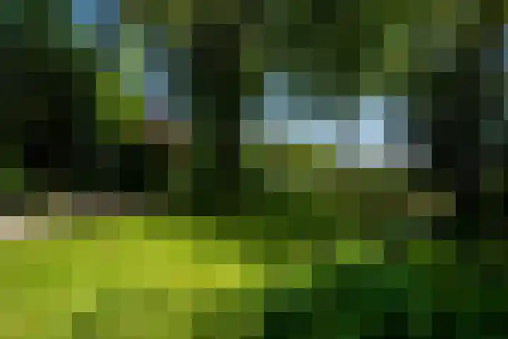 Tsjerkeleane 1 Ingelum thumbnail 61