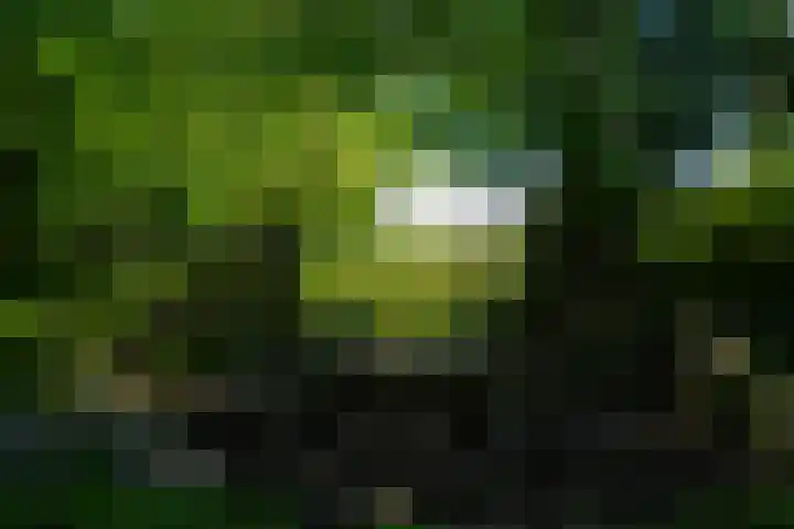 Tsjerkeleane 1 Ingelum thumbnail 62