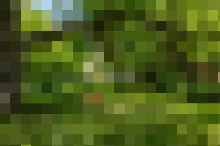 Tsjerkeleane 1 Ingelum thumbnail 63