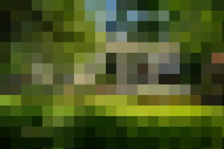Tsjerkeleane 1 Ingelum thumbnail 64