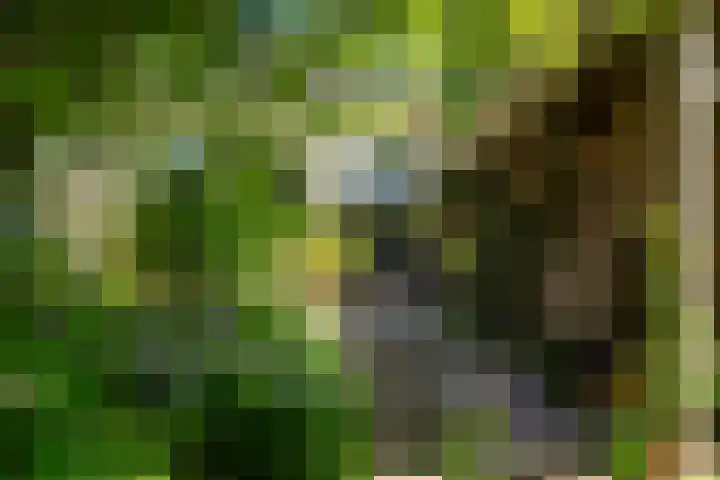 Tsjerkeleane 1 Ingelum thumbnail 65