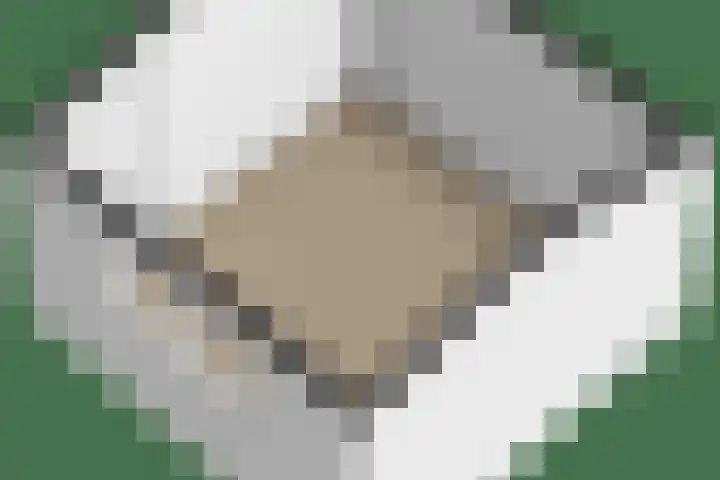 Tsjerkeleane 1 Ingelum thumbnail 67