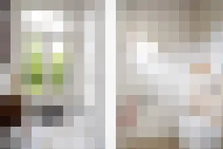 Tsjerkeleane 1 Ingelum thumbnail 7