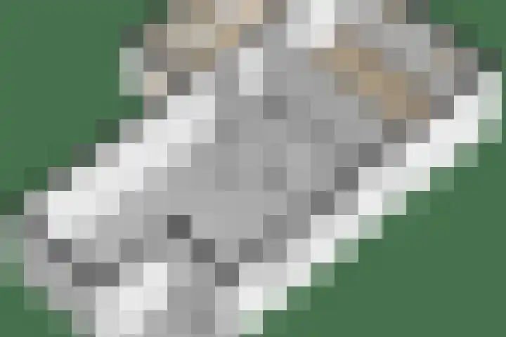 Tsjerkeleane 1 Ingelum thumbnail 71