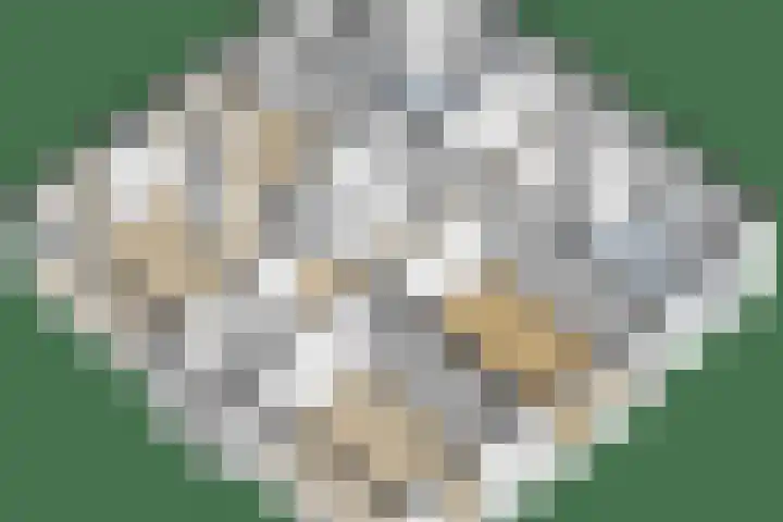 Tsjerkeleane 1 Ingelum thumbnail 77