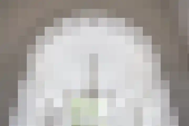 Tsjerkeleane 1 Ingelum thumbnail 9