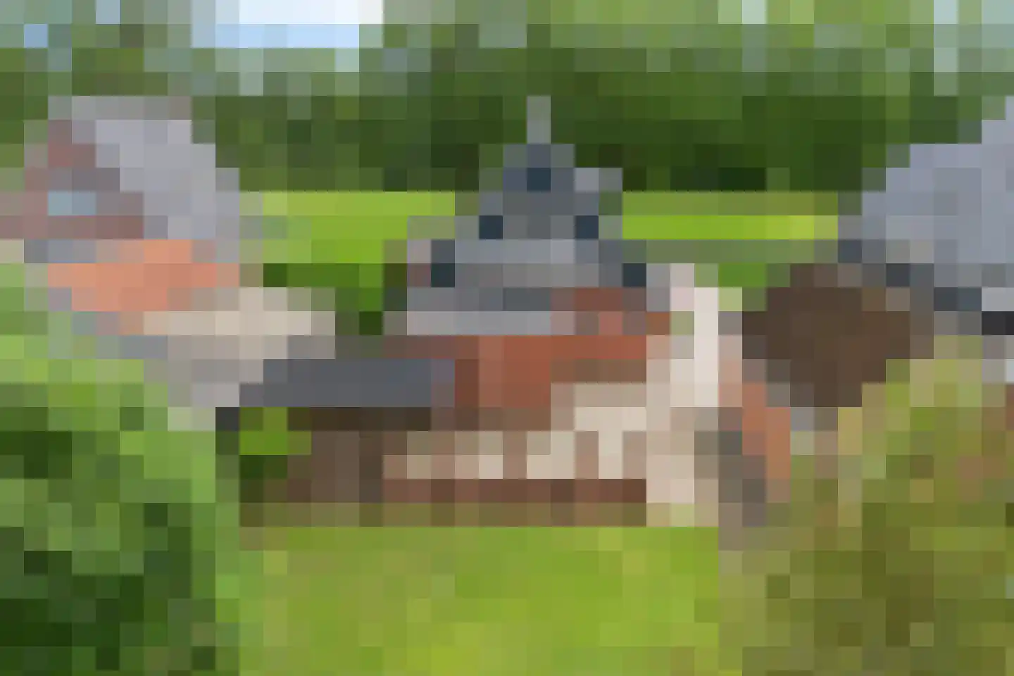 Tsjerkeleane 5 Ureterp thumbnail 32