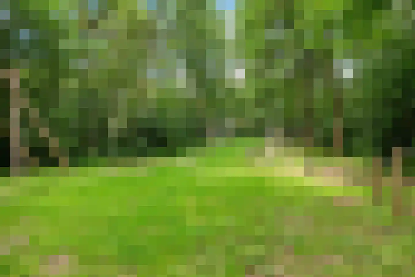 Tsjerkeleane 5 Ureterp thumbnail 46