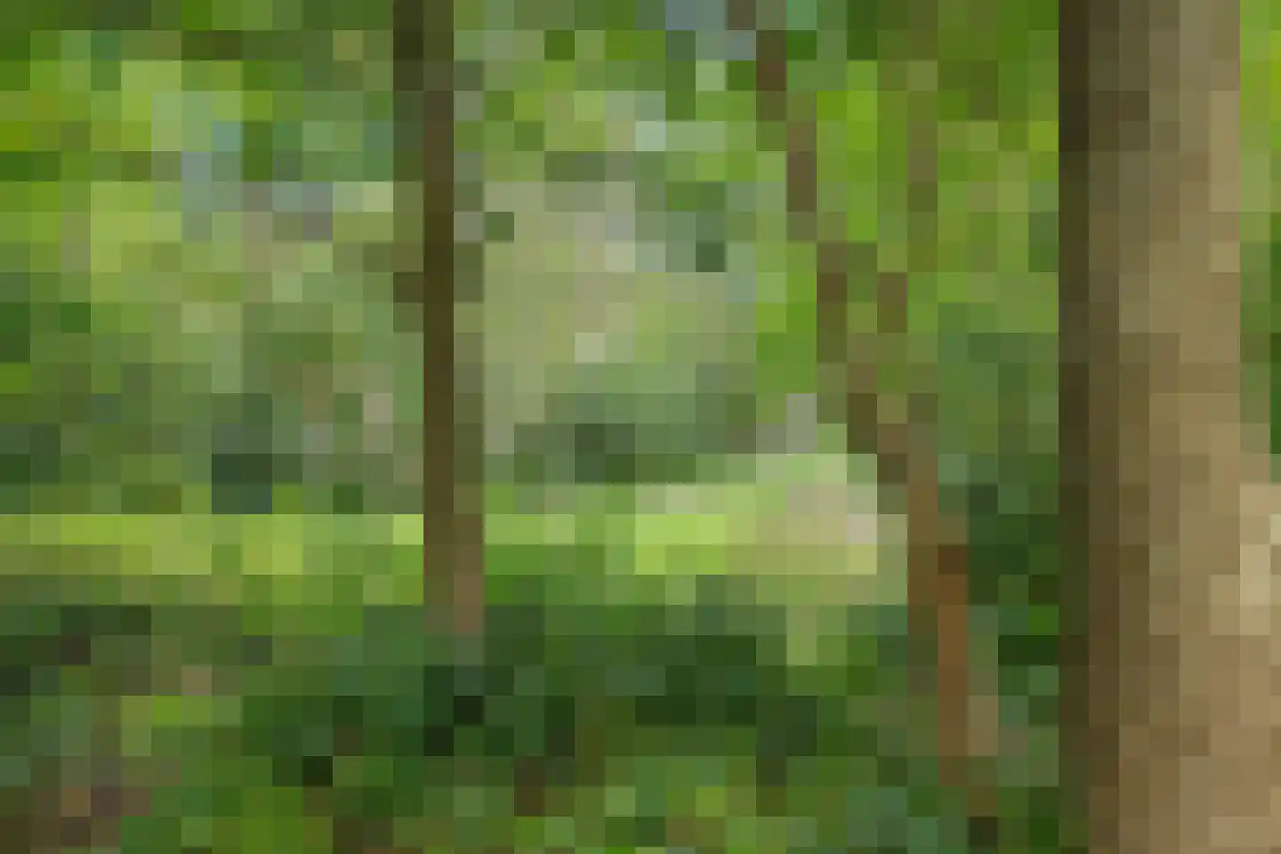 Tsjerkeleane 5 Ureterp thumbnail 47