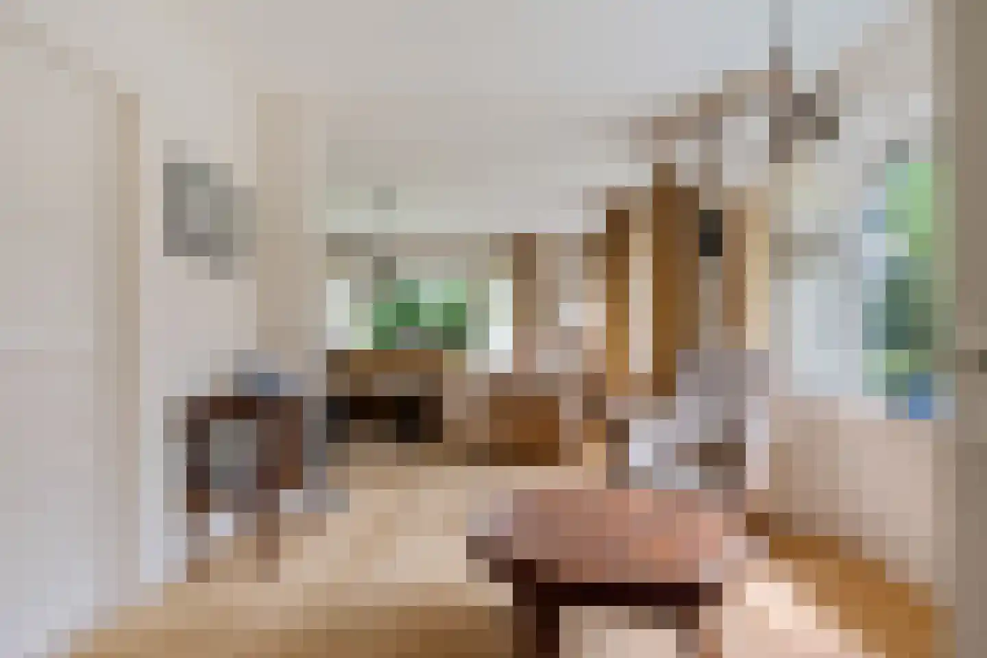 Tsjerkeleane 5 Ureterp thumbnail 8