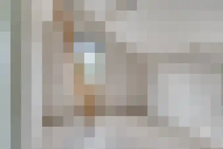Tsjerkeleane 7 Langezwaag thumbnail 20