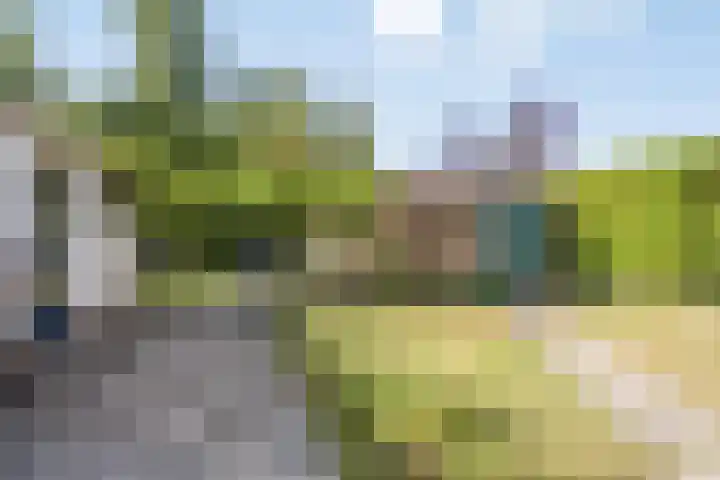 Tsjerkeleane 7 Langezwaag thumbnail 28
