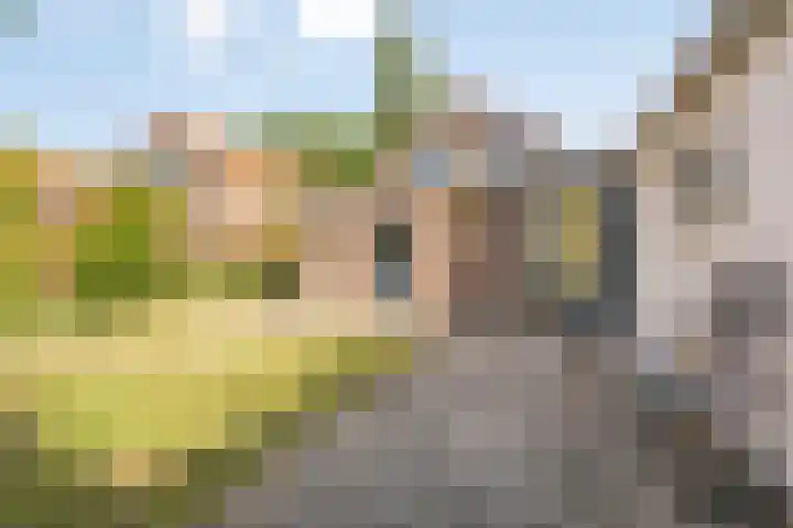 Tsjerkeleane 7 Langezwaag thumbnail 29