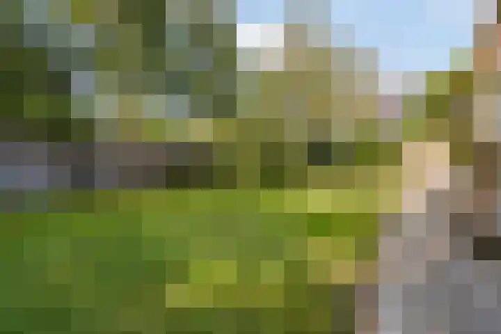Tsjerkeleane 7 Langezwaag thumbnail 30
