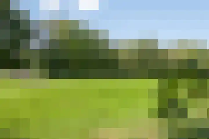 Tsjerkeleane 7 Langezwaag thumbnail 32