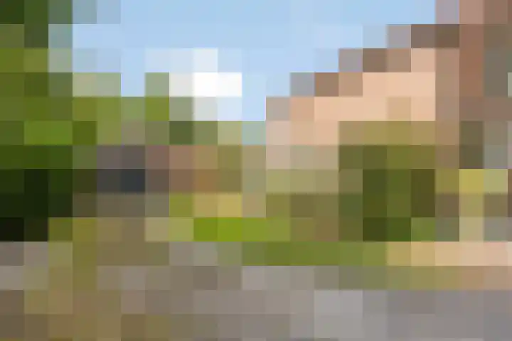 Tsjerkeleane 7 Langezwaag thumbnail 5