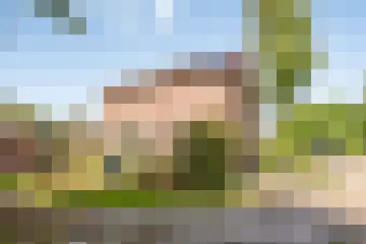 Tsjerkeleane 7 Langezwaag thumbnail 6