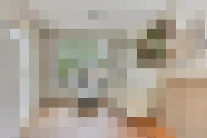 Tsjerkeleane 7 Langezwaag thumbnail 8