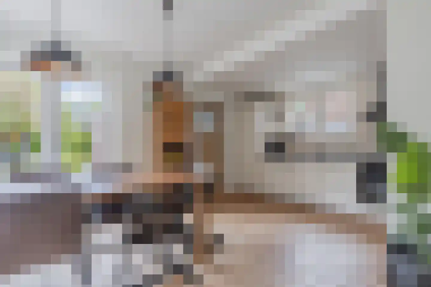 Tsjerkeleane 9 Langezwaag thumbnail 20