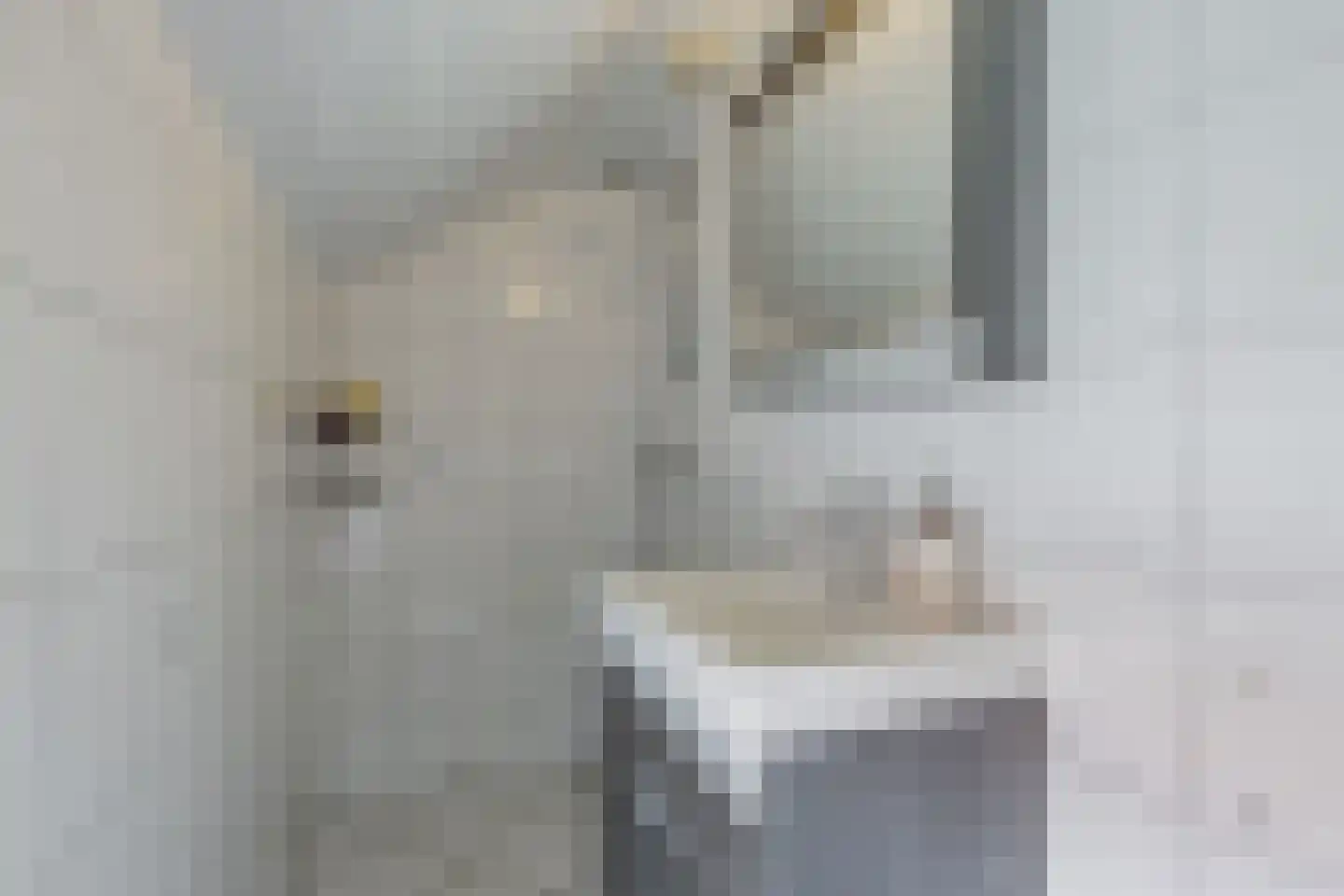 Tsjerkeleane 9 Langezwaag thumbnail 30