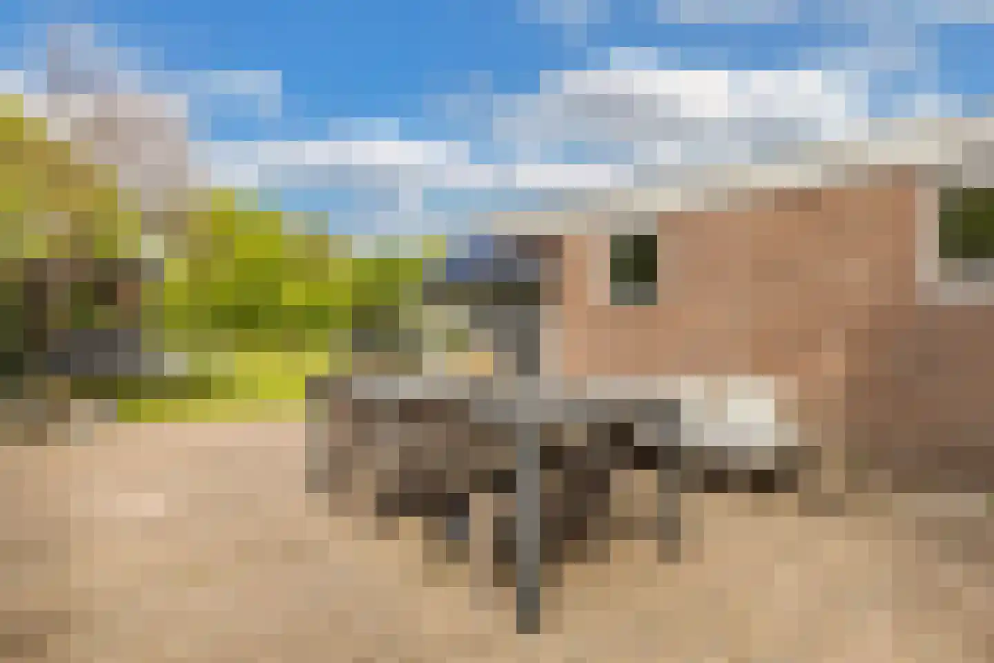 Tsjerkeleane 9 Langezwaag thumbnail 40