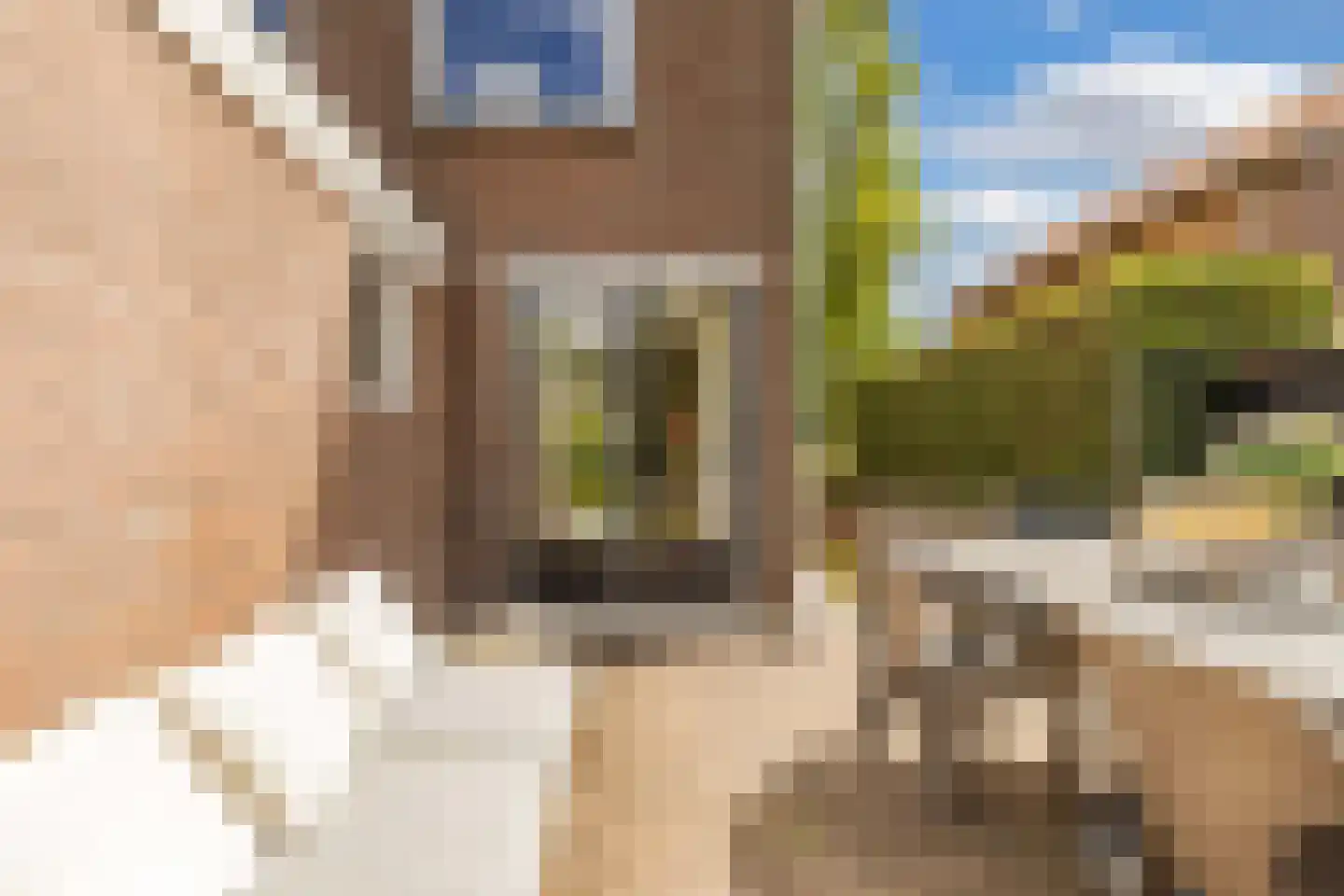 Tsjerkeleane 9 Langezwaag thumbnail 41