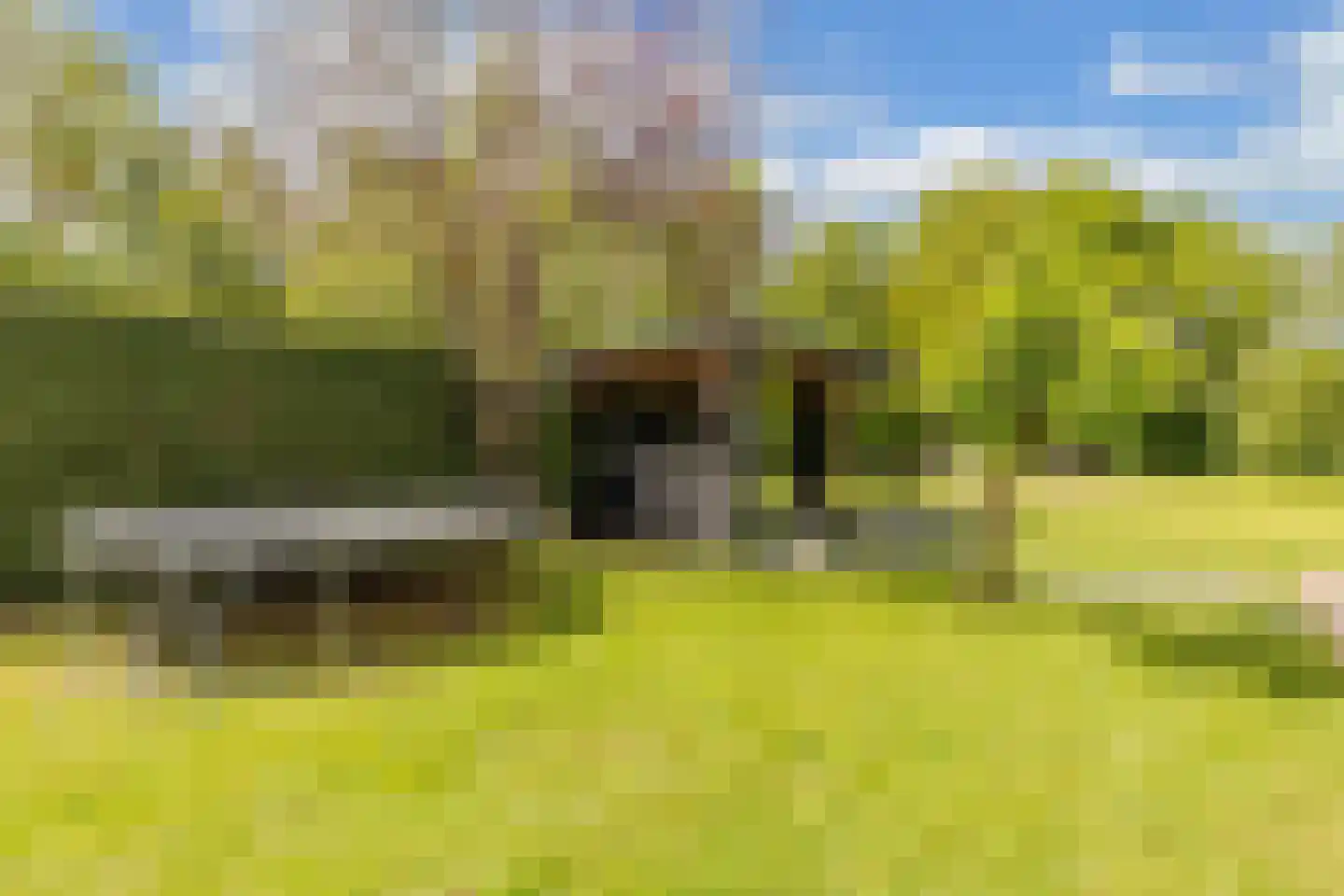 Tsjerkeleane 9 Langezwaag thumbnail 42
