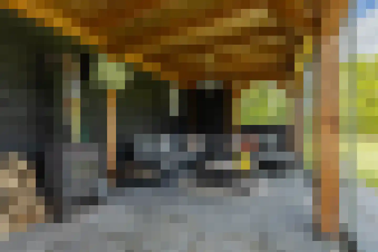 Tsjerkeleane 9 Langezwaag thumbnail 44