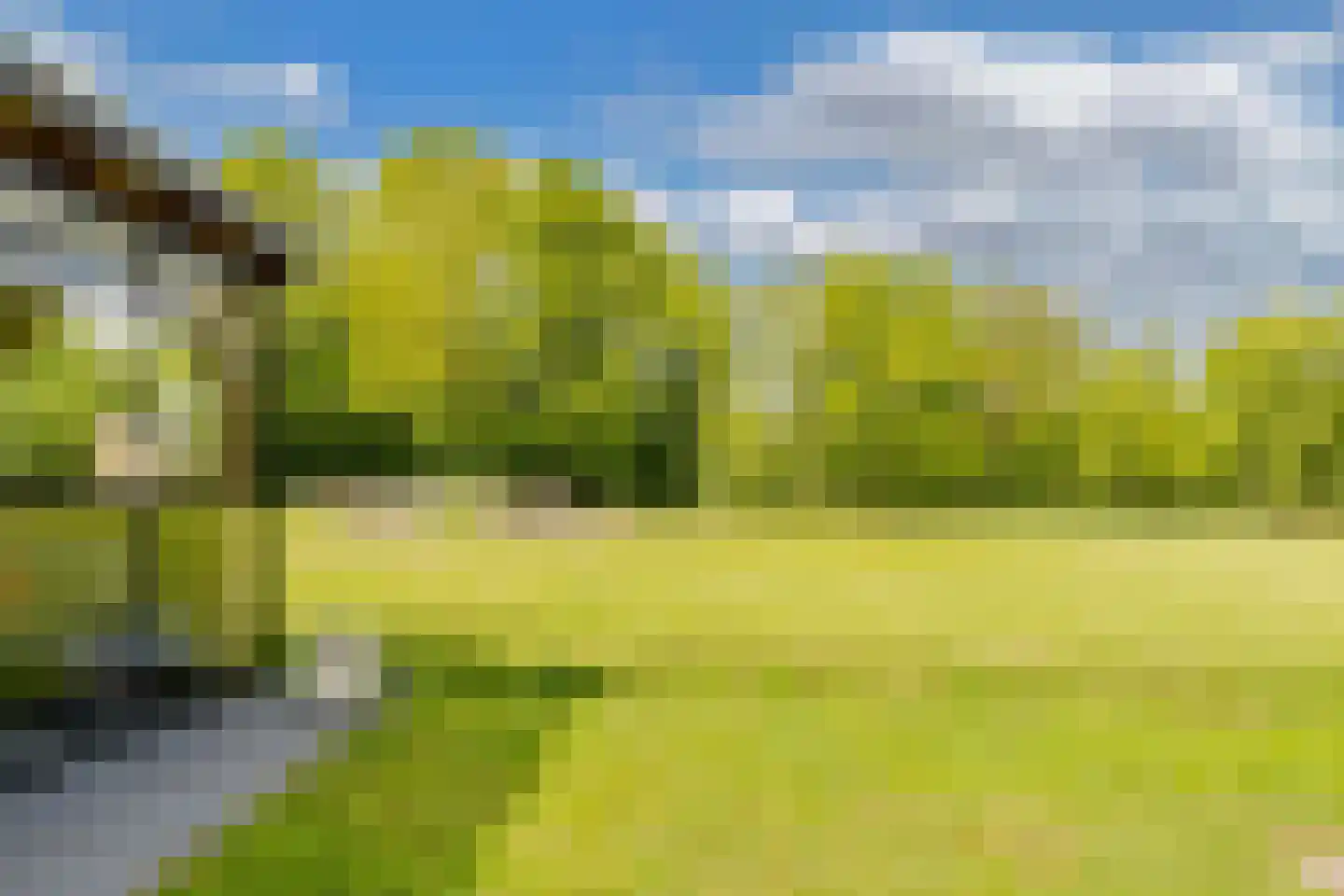 Tsjerkeleane 9 Langezwaag thumbnail 47