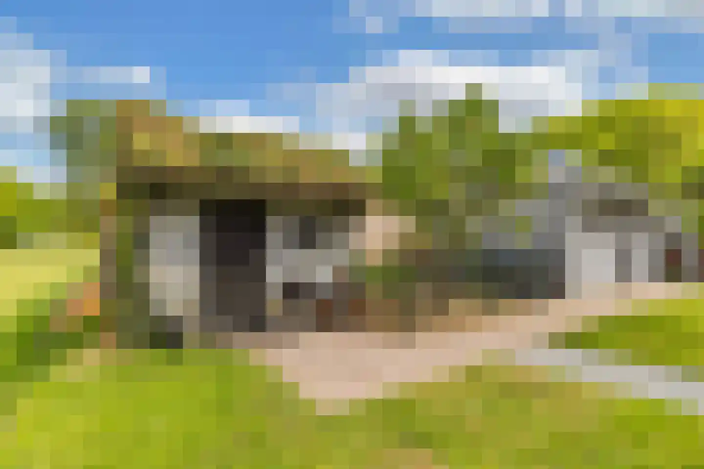 Tsjerkeleane 9 Langezwaag thumbnail 49