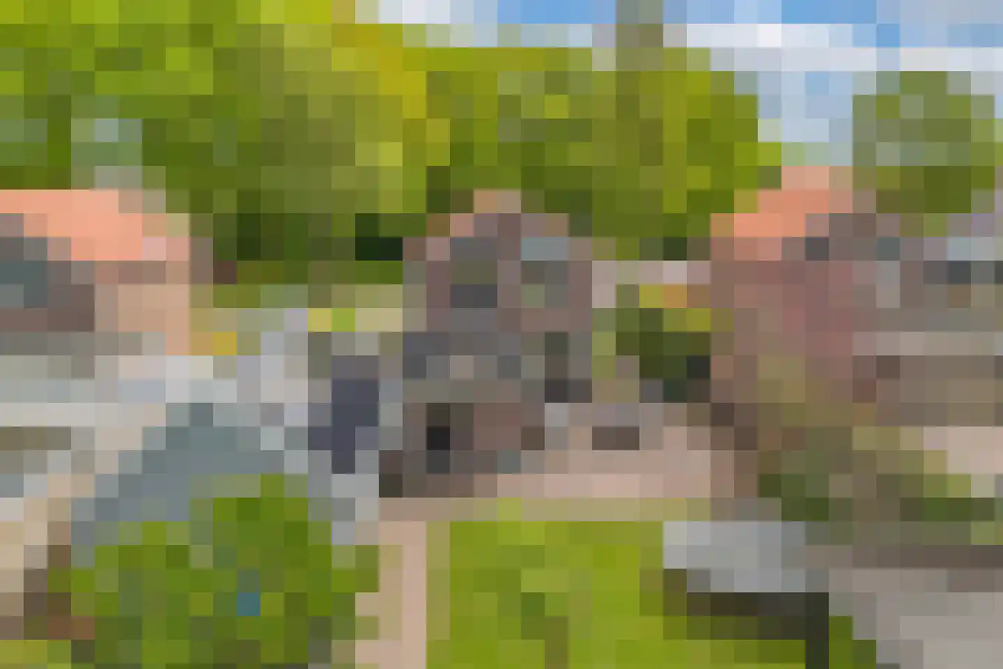 Tsjerkeleane 9 Langezwaag thumbnail 53